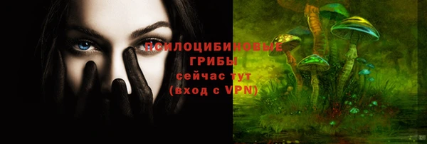 кокс Костерёво