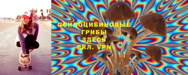 кокс Костерёво