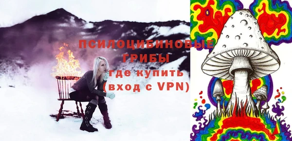 соль ск Коряжма