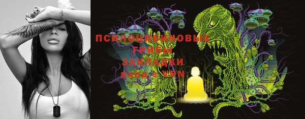 кокс Костерёво