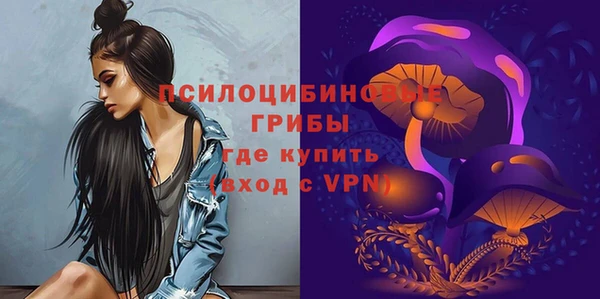 соль ск Коряжма